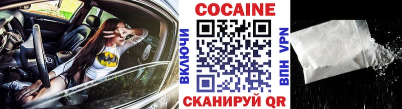 Купить закладки  Кодинск  COCAIN Fish Scale 